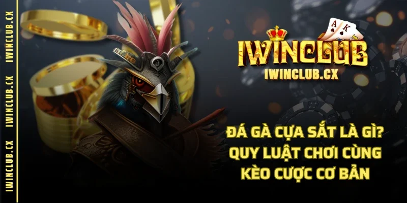 Đá Gà Cựa Sắt Là Gì? Quy Luật Chơi Cùng Kèo Cược Cơ Bản